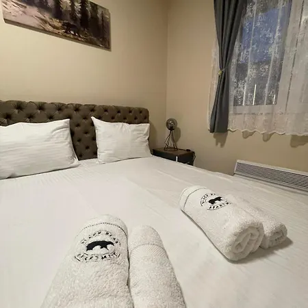 Black Bear זלאטיבור