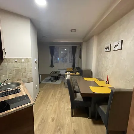 Apartment Black Bear Zlatibor