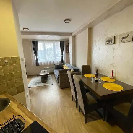 Black Bear זלאטיבור