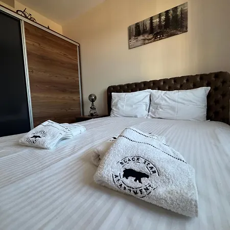 Black Bear * זלאטיבור