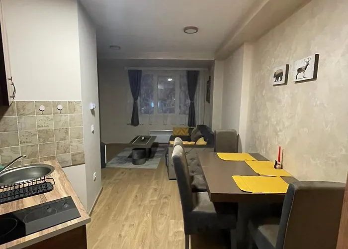 Apartment Black Bear Zlatibor