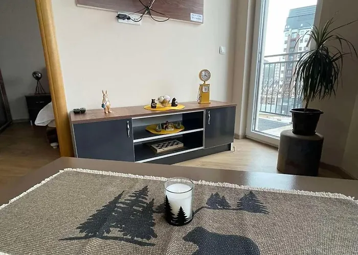 Apartment Black Bear Zlatibor