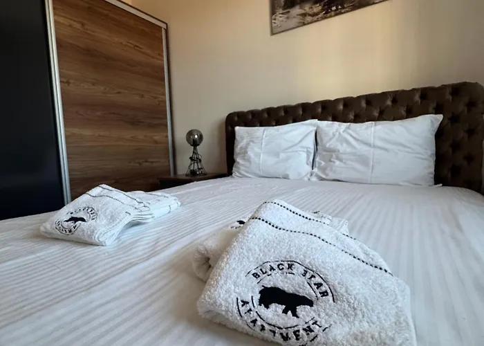 Black Bear * Zlatibor