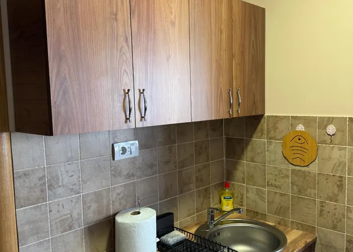 Apartment Black Bear *